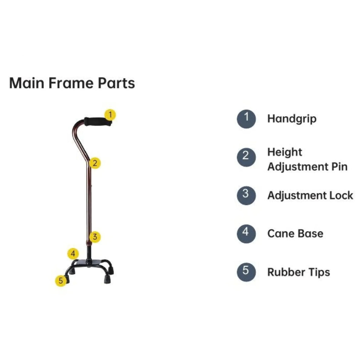 An instructional diagram labeled 'Main Frame Parts' showing a cane with numbered callouts pointing to the handgrip, height adjustment pin, adjustment lock, cane base, and rubber tips on a white background.